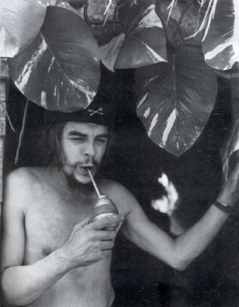 Che Guevara и мате.jpg