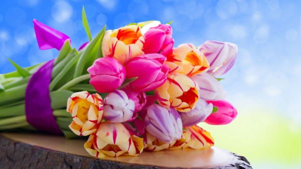 wallpapers-flowers-3.jpg