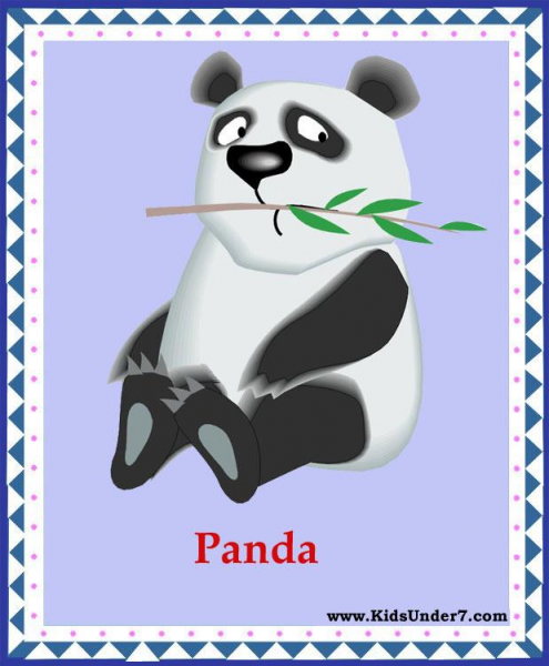 panda.jpg